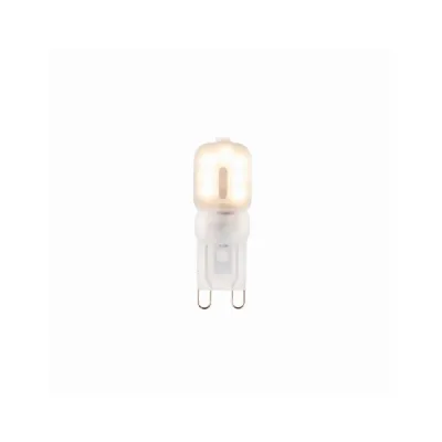 G9 LED E27 2W Warm White Bulb