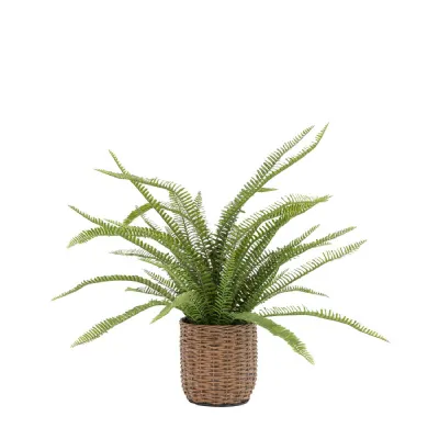 Potted Fern Plant 980mm
