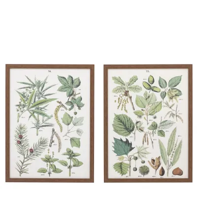 Study Framed Art Set of 2
