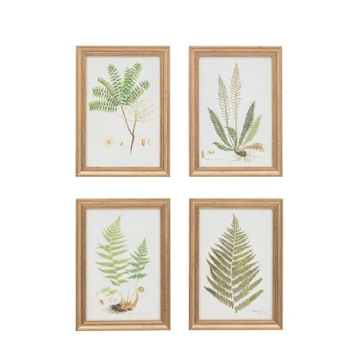 Ferns Framed Art Set of 4