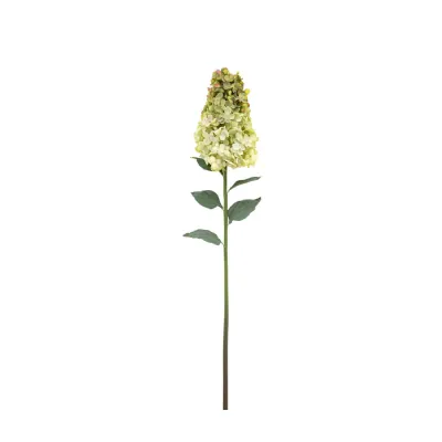 Cone Hydrandea Stem White 12pk
