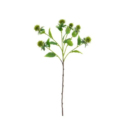 Stem Thistle Green 12pk