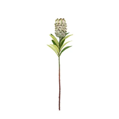 Stem Statement Tropical Green 12pk