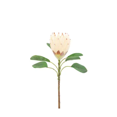 Stem Statement Tropical Ivory 12pk