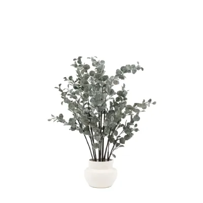 Eucalyptus in Ceramic Pot Ivory