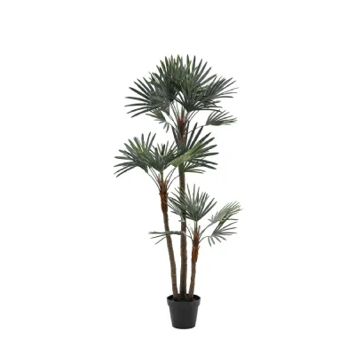 Green Statement Palm Large