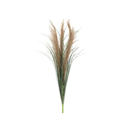 Grass with Feather Seed 12pk