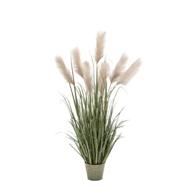 Green Grass with Pampas Seed Heads 5pk Large