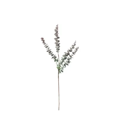 Eucalyptus Spray (6pk) Dusky Damson