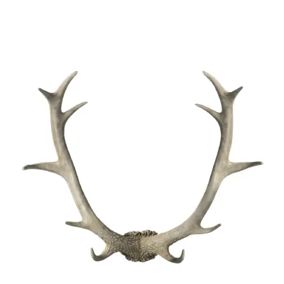 Bjorn Antler Wall Art White 550x140x440mm