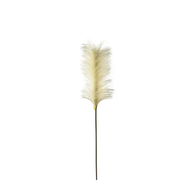 Goma Soft Feather Stem Ivory (5pk) 720mm
