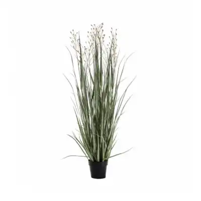 Grass With 3 Heads Green Russet