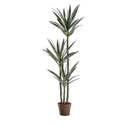 Yucca Tree w 3 Heads 600x600x1500mm