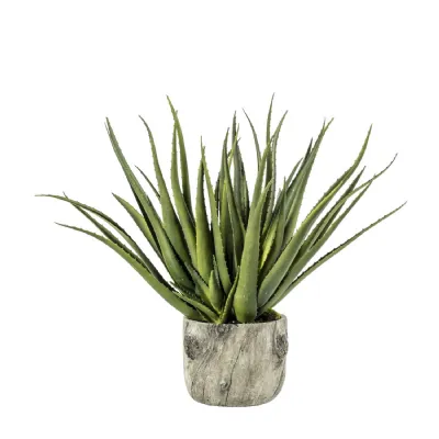 Aloe w Bark Effect Pot 350x350x530mm