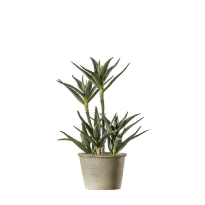 Potted Aloe 250x250x380mm