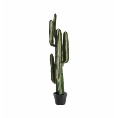 Artificial Plants And Flowers