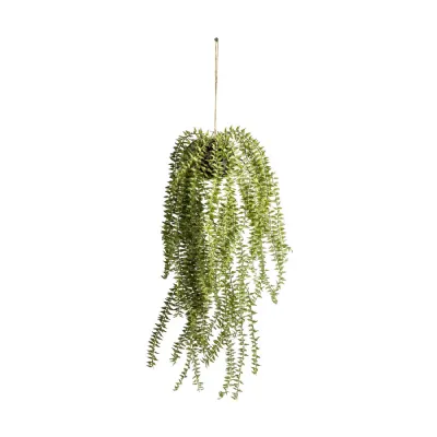 Hanging Cactus Horsetail 200x200x580mm