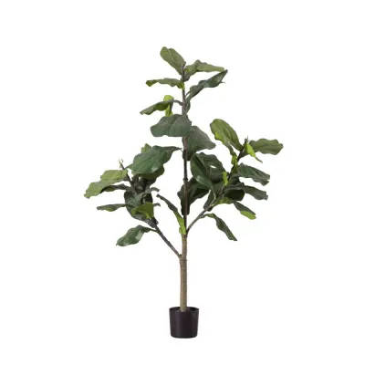 Fiddle Tree w 39 Leaves 580x580x1200mm