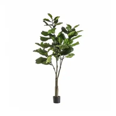 Tree With 39 Leaves