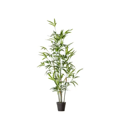 Bamboo w 330 Leaves 450x450x900mm