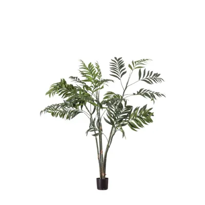 Areca Palm Tree Small 710x710x910mm