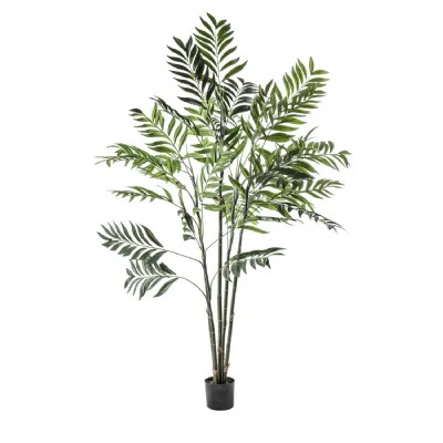 Areca Palm Tree Large 960x960x1520mm