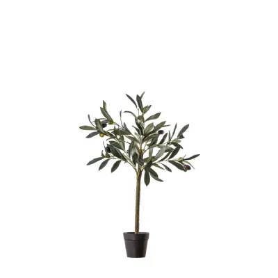 Olive Tree Small 220x220x600mm