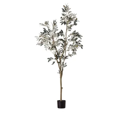 Olive Tree Large 600x600x1820mm