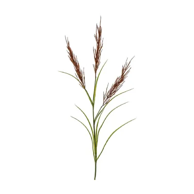Pampas Spray Russet Green 1110mm