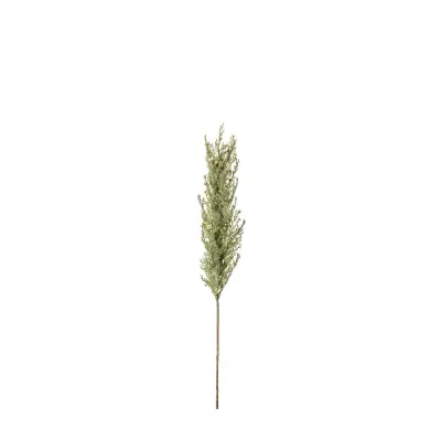 Pampas Spray Dry Look 980mm
