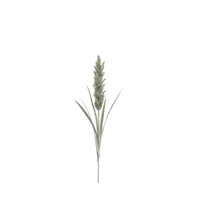 Pampas Spray Ivory 1220mm