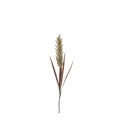 Pampas Spray Wheat Russet 1220mm