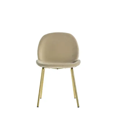 Brown Velvet Dining Chair (Pack of 2)