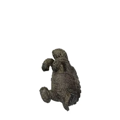 Tommy Tortoise Brown Pot Hanger (Pack of 2)