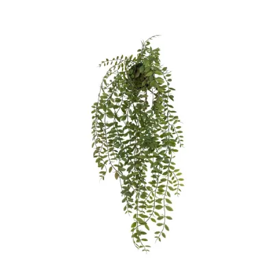 Trailing Fern in Soil Green L600mm