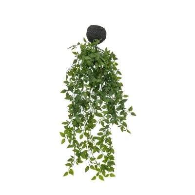 Trailing Vine in Soil Green L500mm