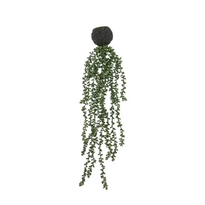 String of Pearls in Soil L710mm