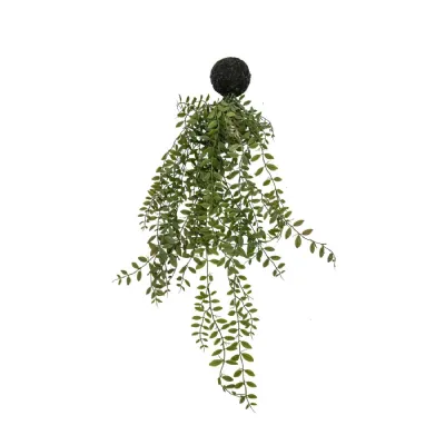 Trailing Wood Fern in Soil Green L610mm