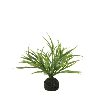 Wild Grass in Soil Green H300mm