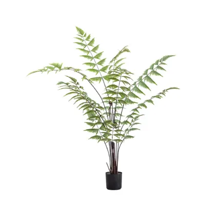 Butterfly Fern H1200mm