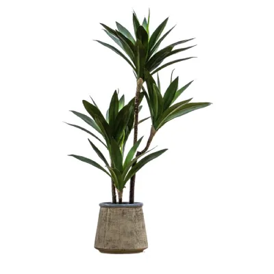 Potted Yucca Green H650mm