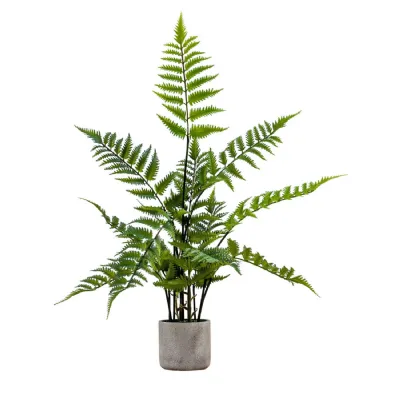Potted Fern in Cement Pot H710mm