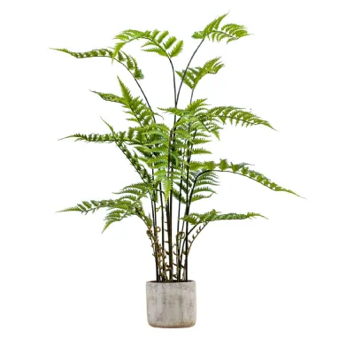 Potted Fern in Cement Pot H1060mm