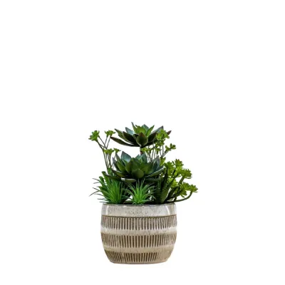 Potted Succulents Ceramic Pot Green Brown H240mm