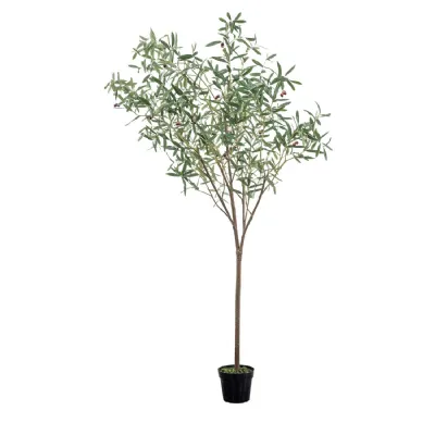 Olive Tree Large Green H2020mm