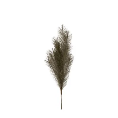 Feathered Spray Khaki (6pk) L700mm