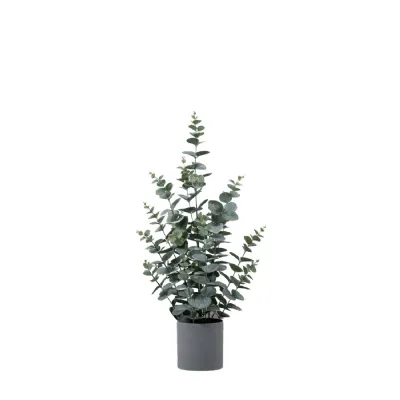 Potted Eucalyptus Bush Green H680mm