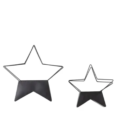 Black Iron Star Planter (Set of 2)