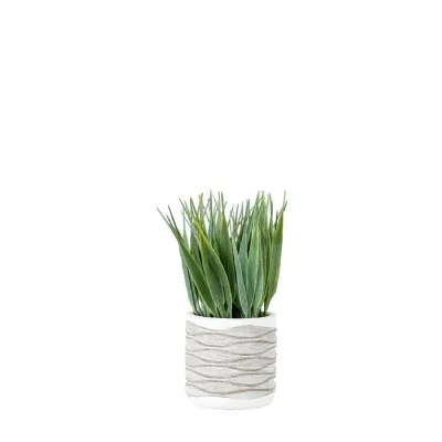 Grass in Wavy Pot Small (2pk) 80x80x220mm