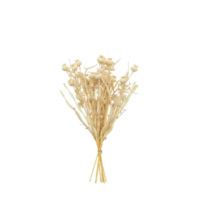 Dry Look Poppy Bundle x9 Ivory 190x190x460mm